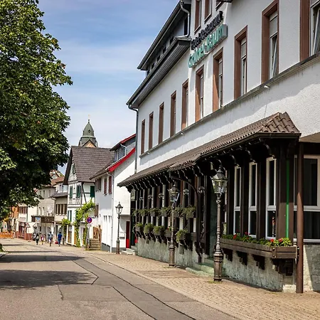 Отель Gruener Baum