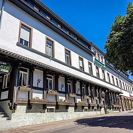 Gruener Baum فندق