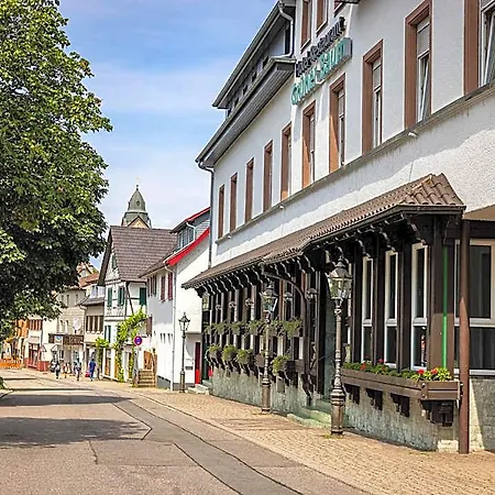 Gruener Baum 3*