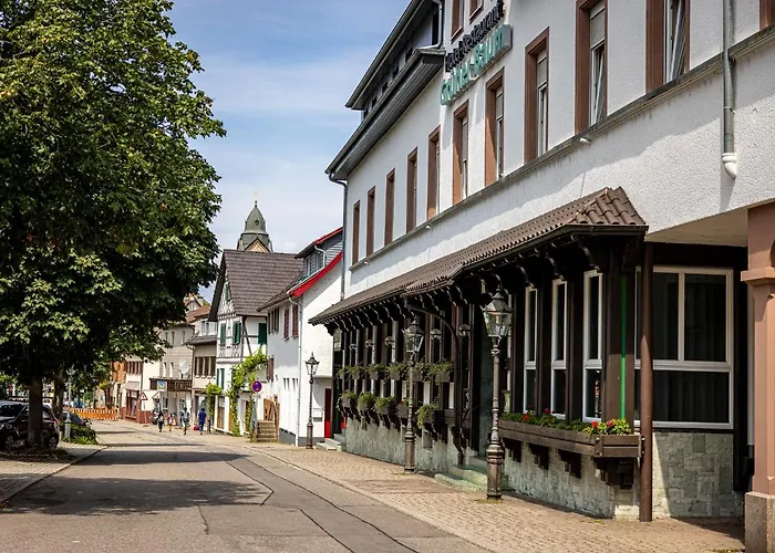 Отель Gruener Baum